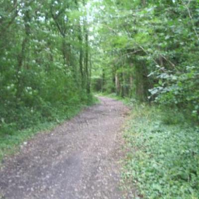 Le Parcours 12 Km